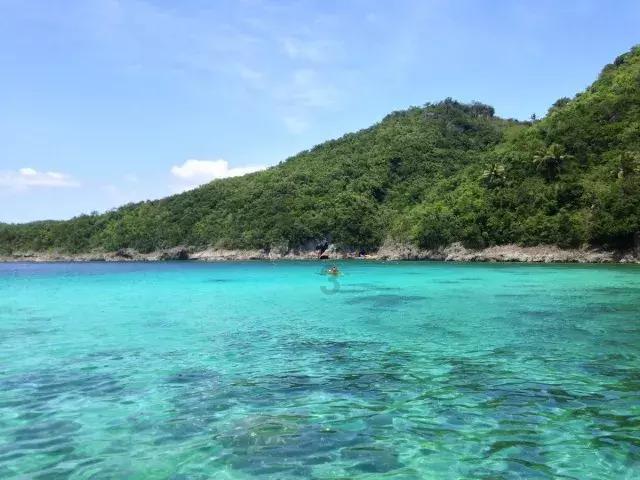 好吃的海带蒸豆腐游戏画面